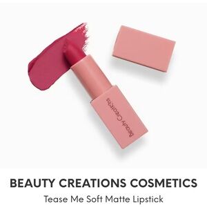 Beauty Creations Pink Matte Lipstick Collection